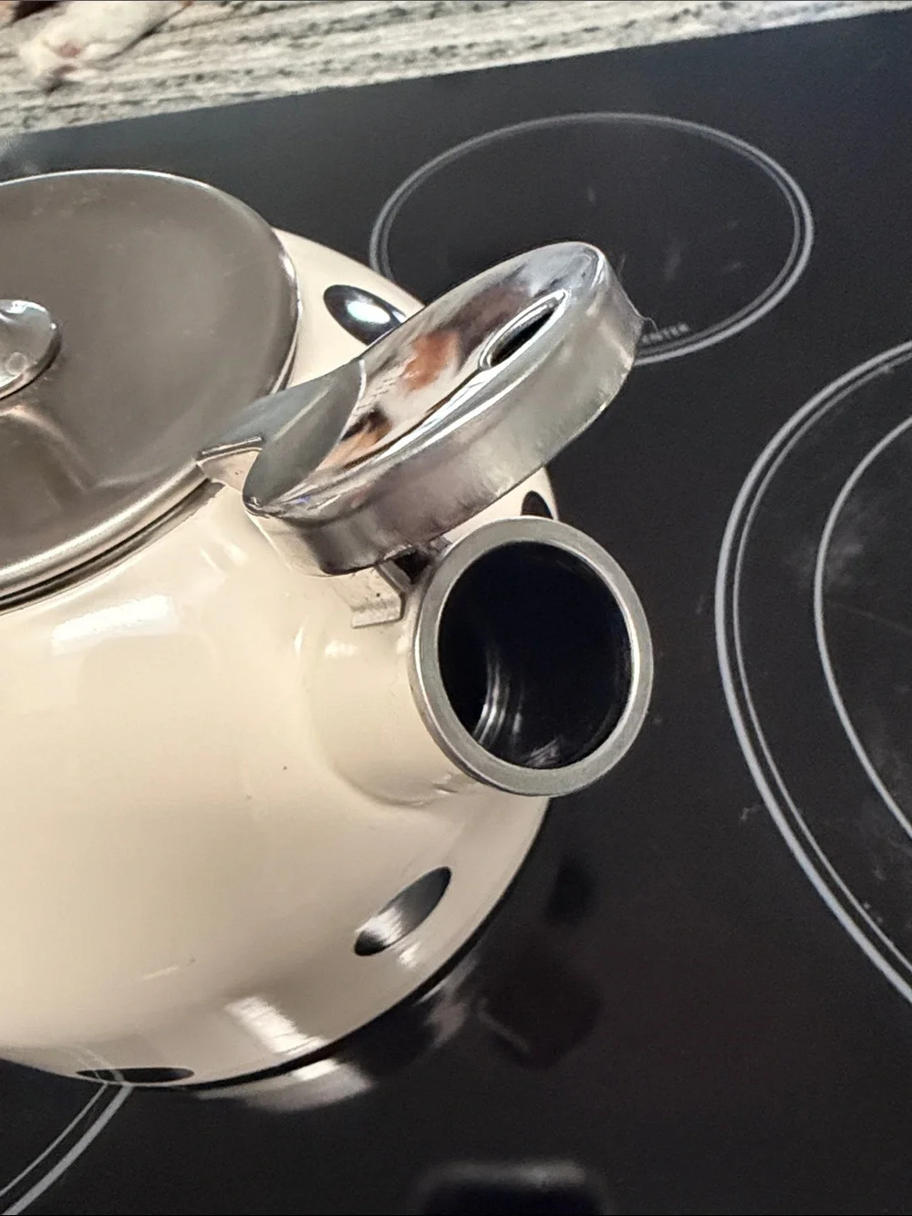kate spade White and Black Polka Dot Whistling Tea Kettle